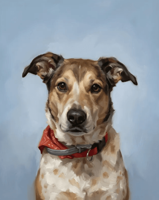 Retrato de mascota: Pañuelo Rojo